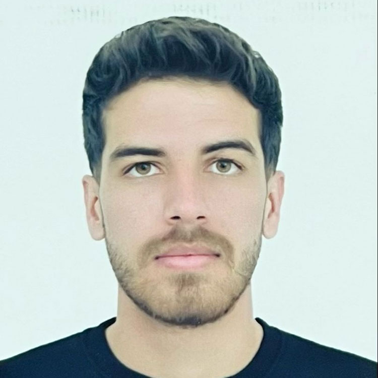Seyedamir Zamanpour