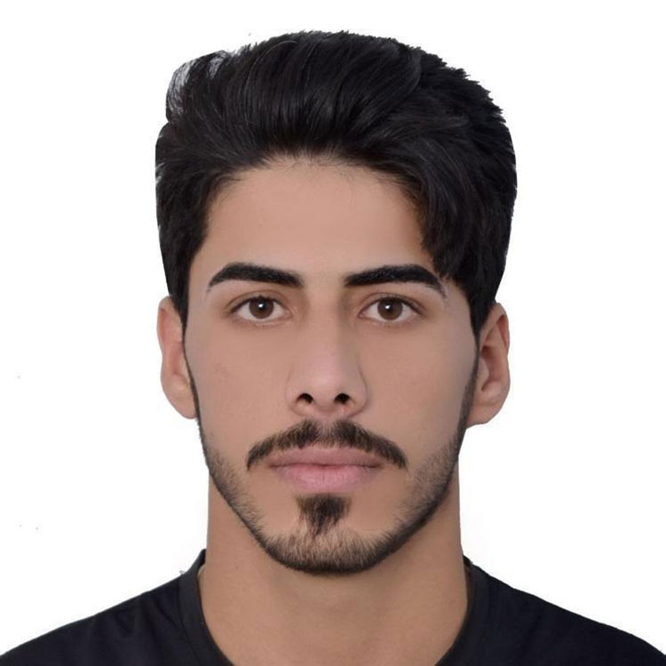 Ameer Sabeeh Saihood