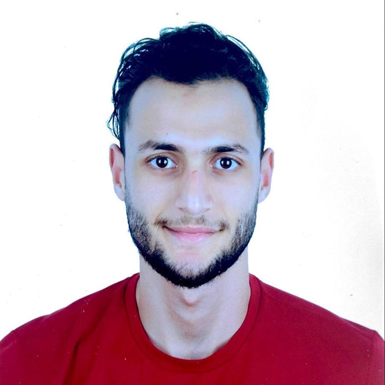 Bassem Mohamed A A Hemeida