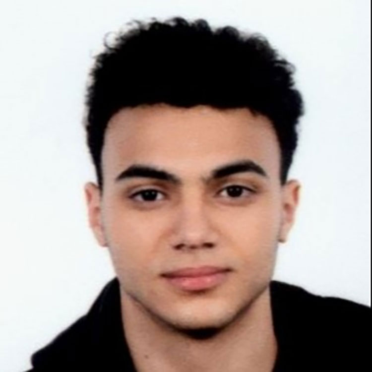 Seifeldin Mohamed A Abdelsalam