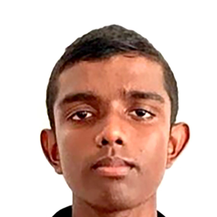 Lesandu Arthavidu Gammanage